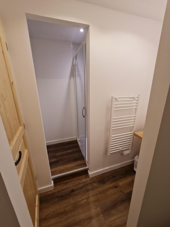 La Maizon Du Bois - Le Haut Appartement De 130 M2 - Le Bas Appartement De 70 M2 ラ・プラーニュ エクステリア 写真